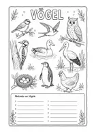 Vorschau - Arbeitsblätter - Ausmalbild und Arbeitsblatt zur Tierklasse der Vögel - Deckblatt