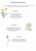 Vorschau - Arbeitsblätter - Heimische Wiesenblumen - differenziert - Seite 1