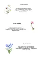 Vorschau - Arbeitsblätter - Heimische Wiesenblumen - differenziert - Seite 2