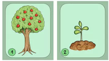 Vorschau - Unterrichtsreihen - Komplette Unterrichtsstunde Lesespaziergang "Im Garten" - Seite 1