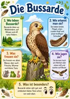 Vorschau - Poster - Lernkarte – Greifvögel – Sachunterricht – Tiere 2. Klasse - Seite 3