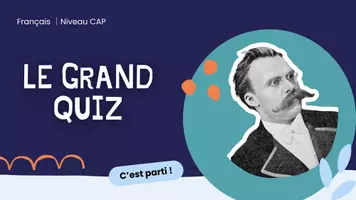 Aperçu - Tests - QUIZ REVISION FRANCAIS pour niveau CAP - Page de couverture