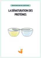 Aperçu - Expériences - La dénaturation des protéines – Expérience avec œuf & lait - Page de couverture