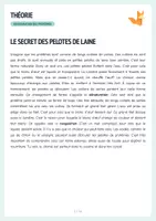 Aperçu - Expériences - La dénaturation des protéines – Expérience avec œuf & lait - Page 2