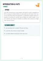 Aperçu - Expériences - L’osmose – Expérience avec pomme de terre & eau 🧪 - Page 1