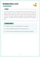 Aperçu - Expériences - Satiété et nutriments – Expérience avec fibres & eau 🧪 - Page 1