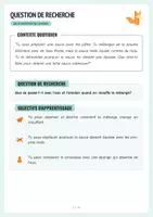 Aperçu - Expériences - Gélatinisation de l’amidon – Expérience avec eau & chaleur 🧪 - Page 3