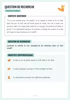 Aperçu - Inclusion - Experiment Vitamines - stockage - Protokoll + Arbeitsblätter - Page 3