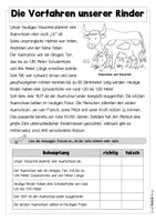 Vorschau - Arbeitsblätter - Das Rind / Die Milch - Materialpaket - Seite 3