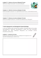 Vorschau - Arbeitsblätter - Nahrungsketten Biologie Klassenarbeit: Trophieebenen, Produzenten & Konsumenten - Seite 3