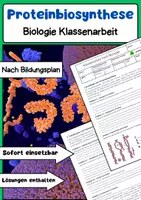 Vorschau - Arbeitsblätter - Proteinbiosynthese Klassenarbeit: Transkription, Translation, DNA & RNA - Deckblatt