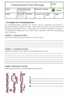 Vorschau - Arbeitsblätter - Proteinbiosynthese Klassenarbeit: Transkription, Translation, DNA & RNA - Seite 1