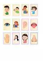Vorschau - Stationenlernen - Meine Sinne – Bild und Wortkarten- Zuordnungsspiel mit Tafelbild | Grundschule & DaZ - Seite 3