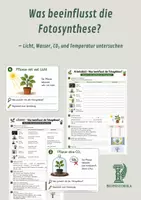 Vorschau - Arbeitsblätter - Was beeinflusst die Fotosynthese? – Licht, Wasser, CO₂ und Temperatur untersuchen - Deckblatt