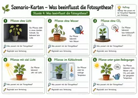 Vorschau - Arbeitsblätter - Was beeinflusst die Fotosynthese? – Licht, Wasser, CO₂ und Temperatur untersuchen - Seite 2