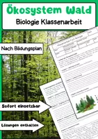 Vorschau - Arbeitsblätter - Ökosystem Wald: Nahrungskette & Stoffkreislauf Klassenarbeit - Deckblatt