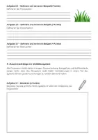 Vorschau - Arbeitsblätter - Ökosystem Wald: Nahrungskette & Stoffkreislauf Klassenarbeit - Seite 3