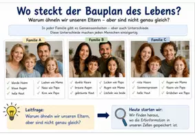 Vorschau - Unterrichtsreihen - Genetik im Materialpaket – 6 Unterrichtsmaterialien mit Wiederholung und Lernkontrolle - Seite 3