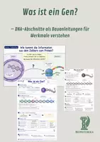 Vorschau - Unterrichtsreihen - Was ist ein Gen? – DNA-Abschnitte als Bauanleitungen für Merkmale verstehen - Deckblatt