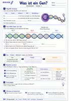 Vorschau - Unterrichtsreihen - Was ist ein Gen? – DNA-Abschnitte als Bauanleitungen für Merkmale verstehen - Seite 1