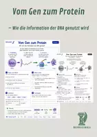 Vorschau - Unterrichtsreihen - Vom Gen zum Protein – Wie die Information der DNA genutzt wird - Deckblatt