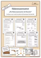 Vorschau - Arbeitsblätter - Hakennasennatter-Arbeitsblätter | 3 Niveaustufen | GS, DaZ, Förder - Deckblatt