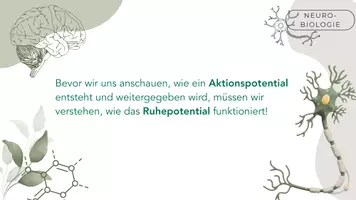 Vorschau - Stundenentwürfe - Ruheptential 2 - Seite 1