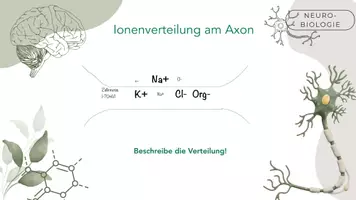 Vorschau - Stundenentwürfe - Ruheptential 2 - Seite 3