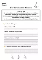 Vorschau - Arbeitsblätter - Die fünf Sinne – Lesetexte & Arbeitsblätter (Klasse 2–4) | Differenziert mit ⭐ - Seite 1