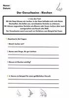 Vorschau - Arbeitsblätter - Die fünf Sinne – Lesetexte & Arbeitsblätter (Klasse 2–4) | Differenziert mit ⭐ - Seite 2