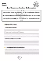 Vorschau - Arbeitsblätter - Die fünf Sinne – Lesetexte & Arbeitsblätter (Klasse 2–4) | Differenziert mit ⭐ - Seite 3