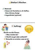 Vorschau - Arbeitsblätter - Lernzirkel: Die fünf Sinne entdecken (Klasse 2–4) | 5 Stationen & handlungsorientiert - Seite 2