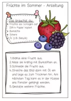 Vorschau - Arbeitsblätter - Kunst Sommer Fensterbilder Früchte Klasse 1-2 Ausmalbilder - Seite 2