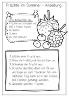 Vorschau - Arbeitsblätter - Kunst Sommer Fensterbilder Früchte Klasse 1-2 Ausmalbilder - Seite 3