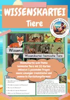 Vorschau - Stationenlernen - Wissenskartei Heimische Tiere 🦊🦌 | 20 Themenkarten inkl. Fragen & Lösungen | Klasse 3 bis 4 | Lesen & Sachunterricht - Deckblatt