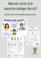 Vorschau - Unterrichtsreihen - Warum setzt sich manche Anlage durch? – Dominant und rezessiv einfach verstehen - Deckblatt