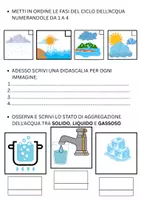 anteprima - Esercizi - VERIFICA DI SCIENZE SECONDO QUADRIMESTRE - Pagina 1