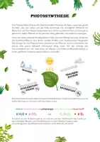 Vorschau - Unterrichtsreihen - 🌿 Photosynthese: Das grüne Wunder - Seite 1