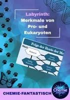 Vorschau - Arbeitsblätter - Labyrinth: Merkmale von Prokaryoten und Eukaryoten - Deckblatt