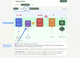 Vorschau - Unterrichtsreihen - Atmungskette – Interaktive Lernapp mit Animation & Quiz (Q1/Q2) - Seite 2