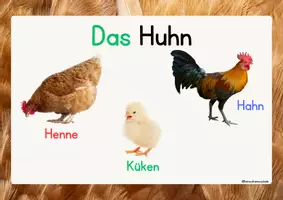 Vorschau - Arbeitsblätter - Huhn - Nutztier Kl 1/2 Sachunterricht - Seite 3