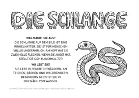 Vorschau - Mal- und Bastelvorlagen - Die Ringelnatter – Ausmalbild mit kurzem Sachwissen | ab 6 Jahren | Ein Wald zum Wachsen - Deckblatt