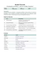 Vorschau - Stundenentwürfe - Chromatografie Rotbuche – Fotosynthese trotz roter Blätter? (Q1 NRW, Doppelstunde) - Seite 1