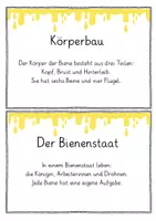 Vorschau - Arbeitsblätter - Abschreibkartei, Wissenskartei Die Biene Sachunterricht - Seite 2
