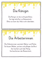 Vorschau - Arbeitsblätter - Abschreibkartei, Wissenskartei Die Biene Sachunterricht - Seite 3