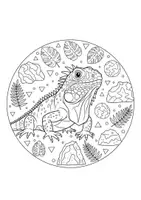 Vorschau - Mal- und Bastelvorlagen - Reptilien Mandala zum Ausmalen - 10 Motive - Seite 2