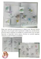 anteprima - Materiale di supporto/inclusione - SCIENZE: lezione interattiva sugli insetti impollinatori - Pagina 2