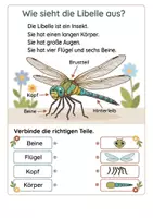 Vorschau - Arbeitsblätter - Alles rund um die Libelle Wissens- und Mitmachheft (Kita - 1. Klasse) - Seite 1