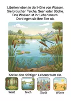 Vorschau - Arbeitsblätter - Alles rund um die Libelle Wissens- und Mitmachheft (Kita - 1. Klasse) - Seite 3