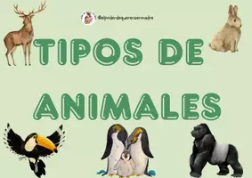 Vista previa - Tarjetas / Manipulativos - DESCRIPCIÓN DE ANIMALES - página 1